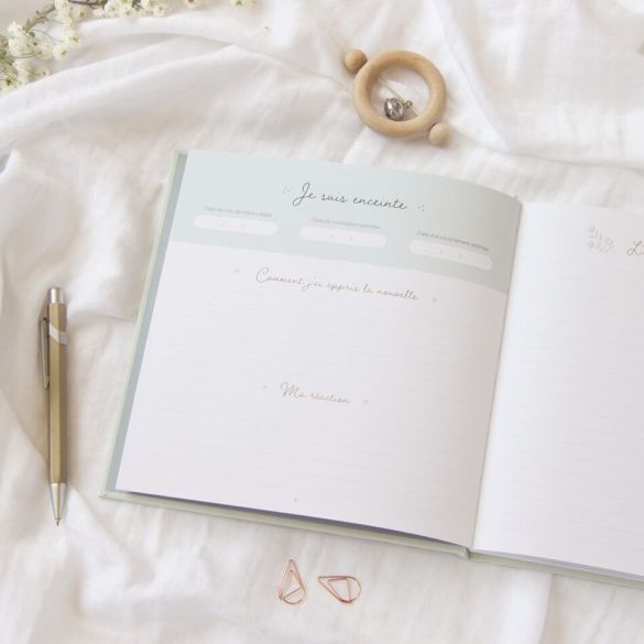 Journal de grossesse Zü