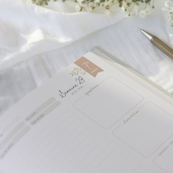 Journal de grossesse Zü